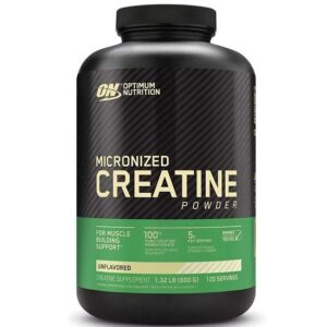 Optimum Nutrition Micronized Creatine Powder